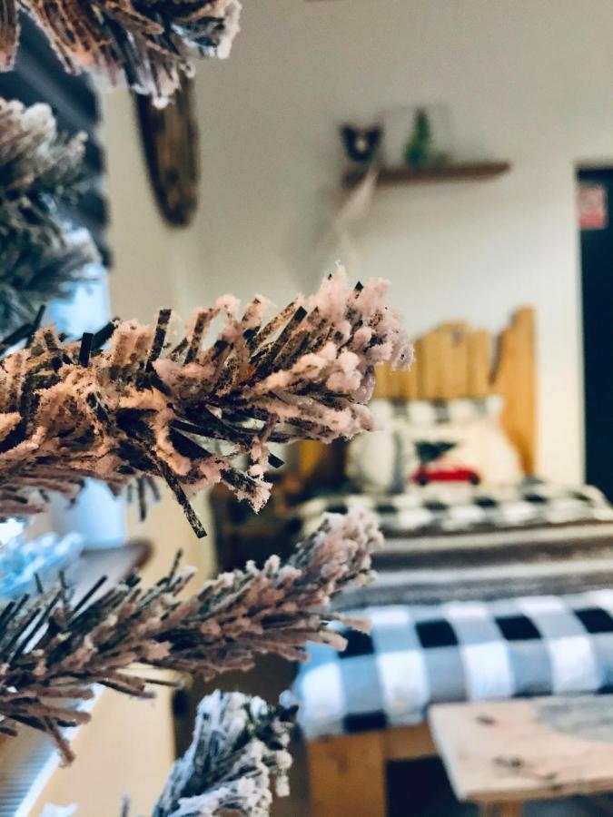 Siedlisko Farmhouse Окшув Екстер'єр фото